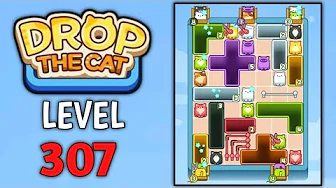 Level 307