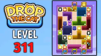 Level 311