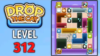 Level 312