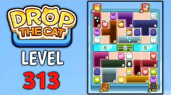 Level 313