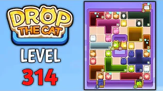 Level 314