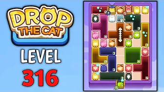 Level 316